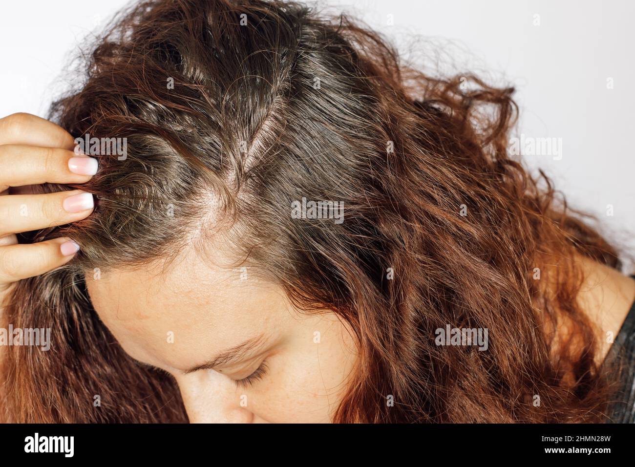 Closeup of young woman showing graying hair roots with head down on white background. Regrown roots which are in need of recoloring. Anti age care Stock Photo