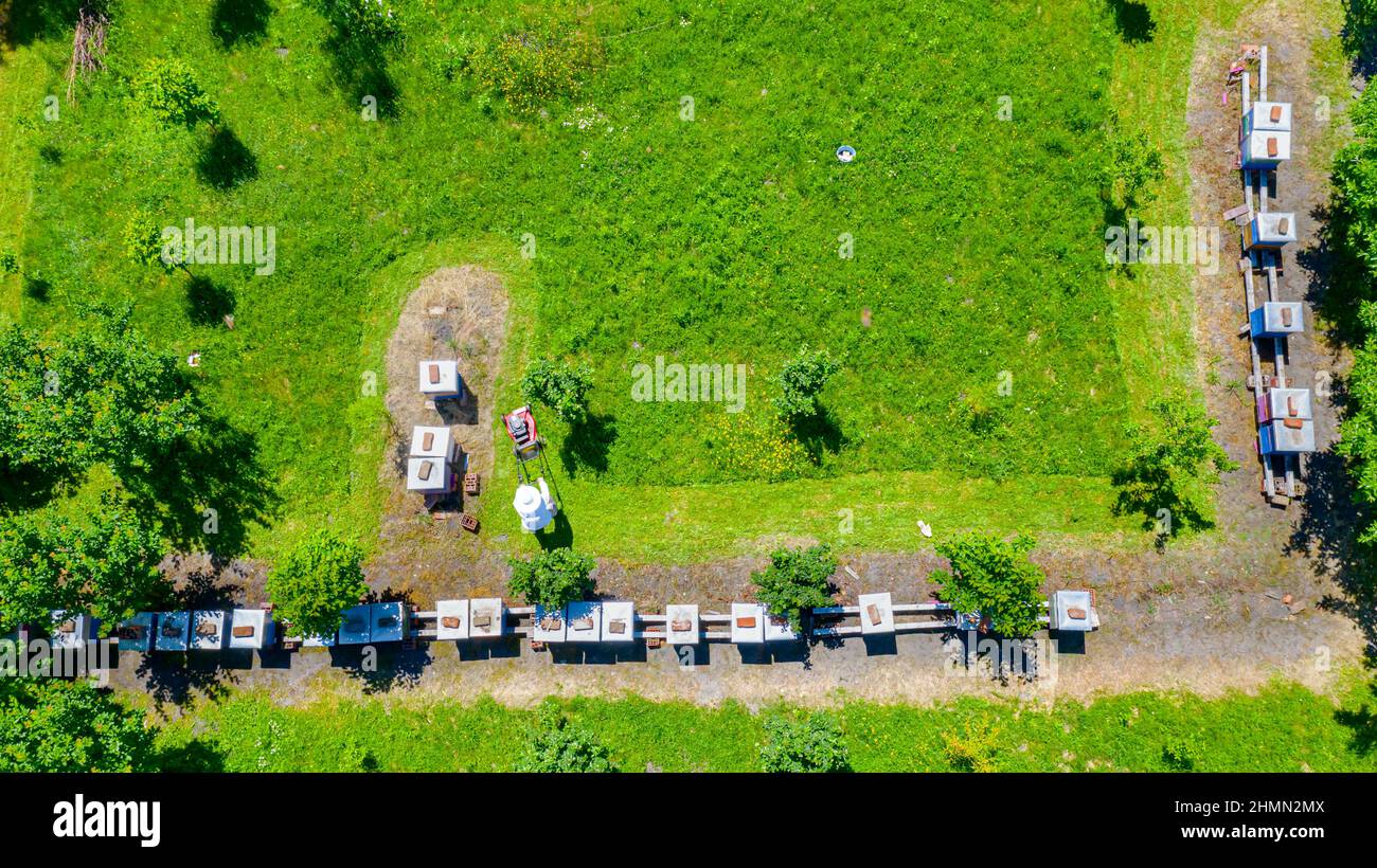 Above top view over beekeeper as cutting grass among beehives arranged