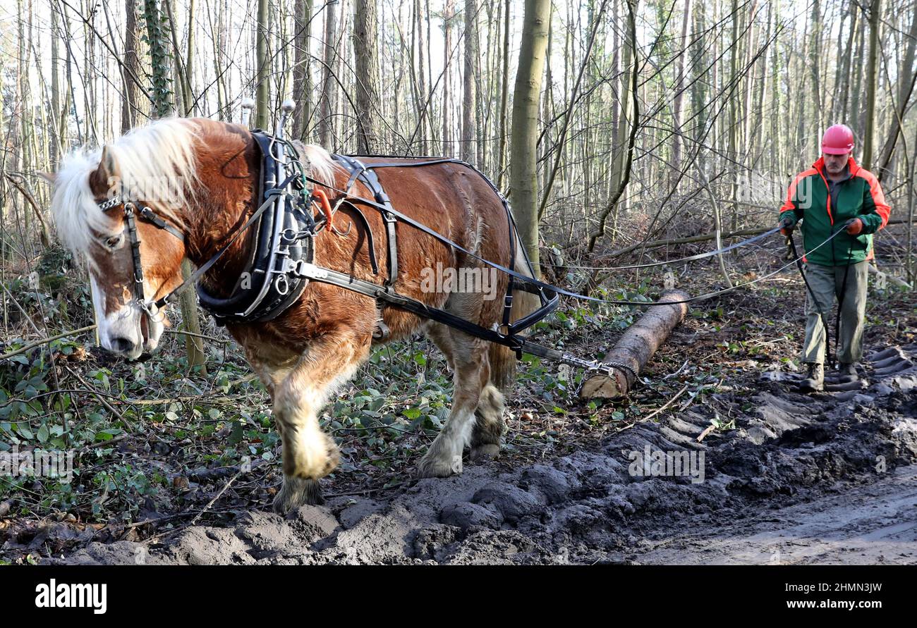 Cold compaction hi-res stock photography and images - Alamy