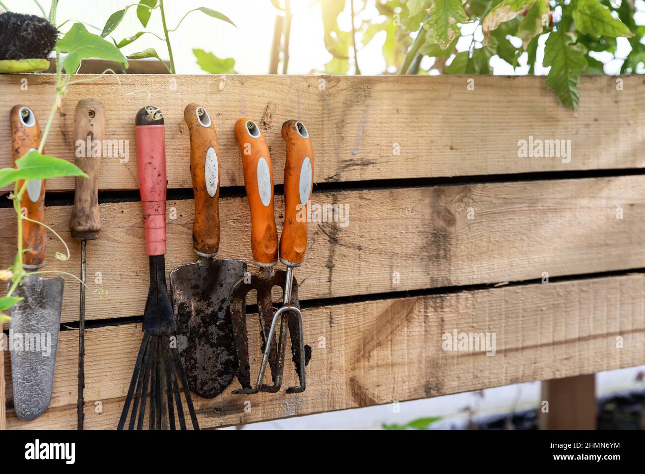 Set of dirt used rusty gardening tools hanging on wooden board