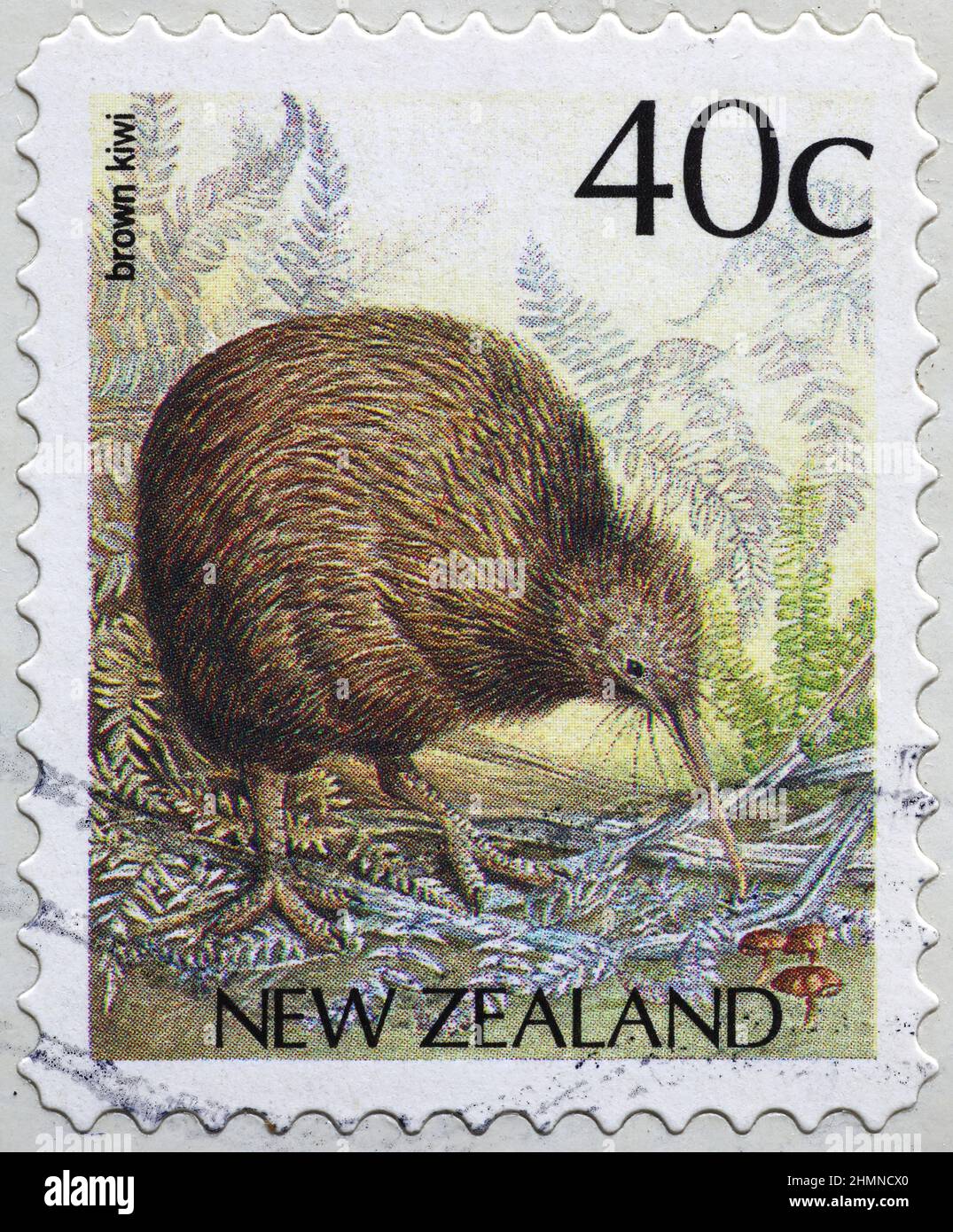 Brown kiwi, endemic bird of New Zealand on stamp Stock Photo