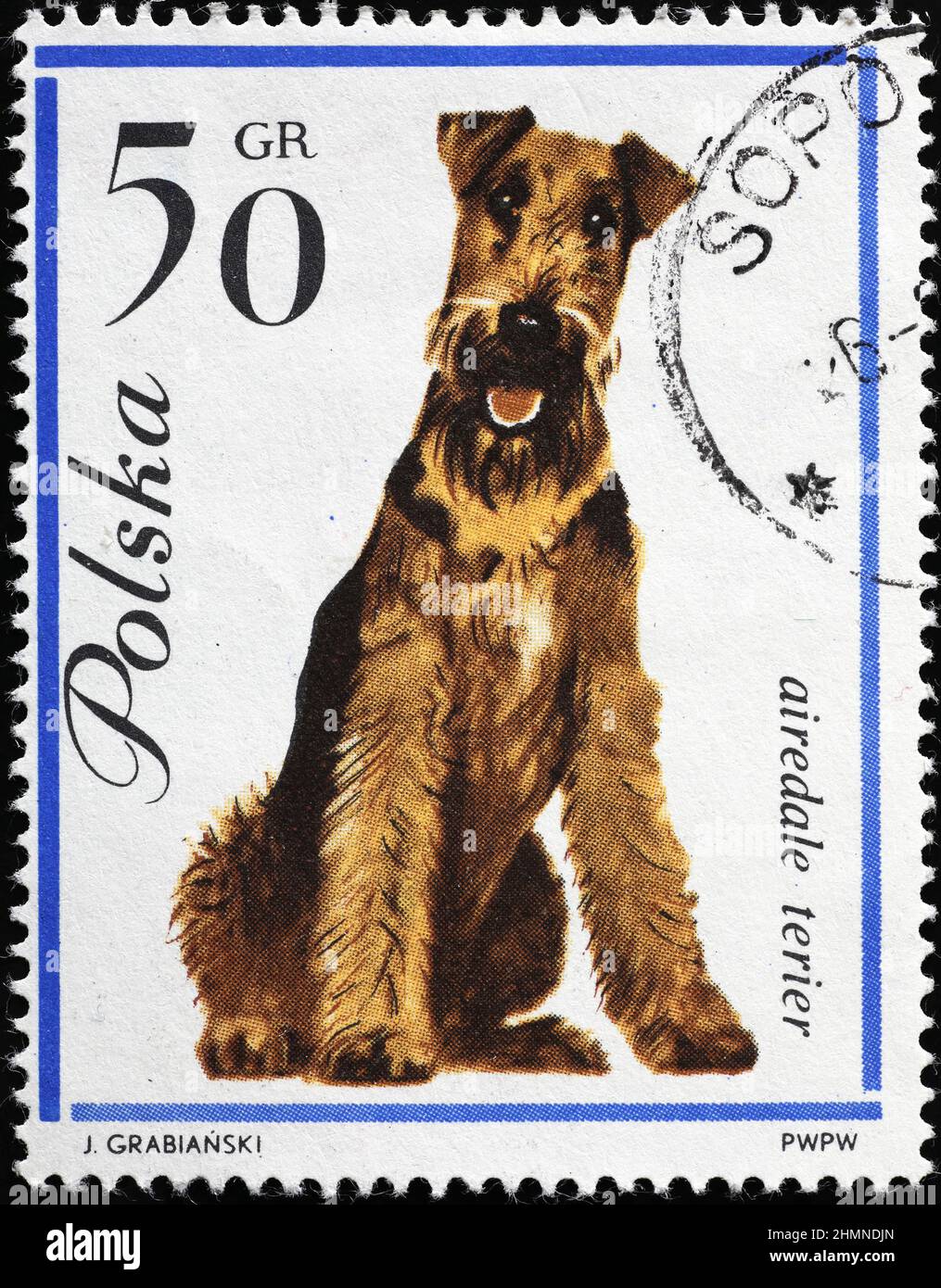 Dog Airedale terrier on polish stamp Stock Photo