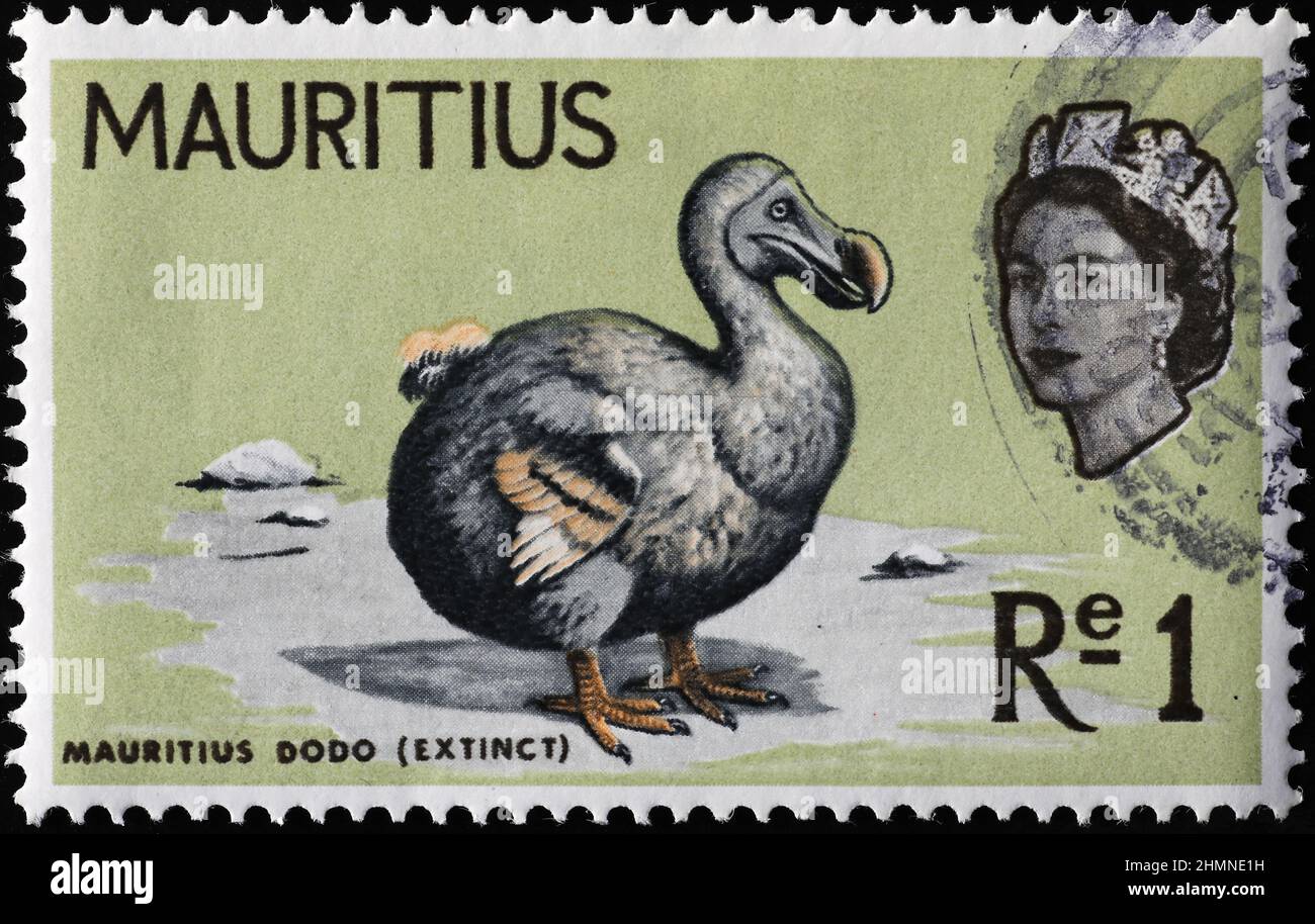 Extinct bird Dodo on stamp from Mauritius Stock Photo