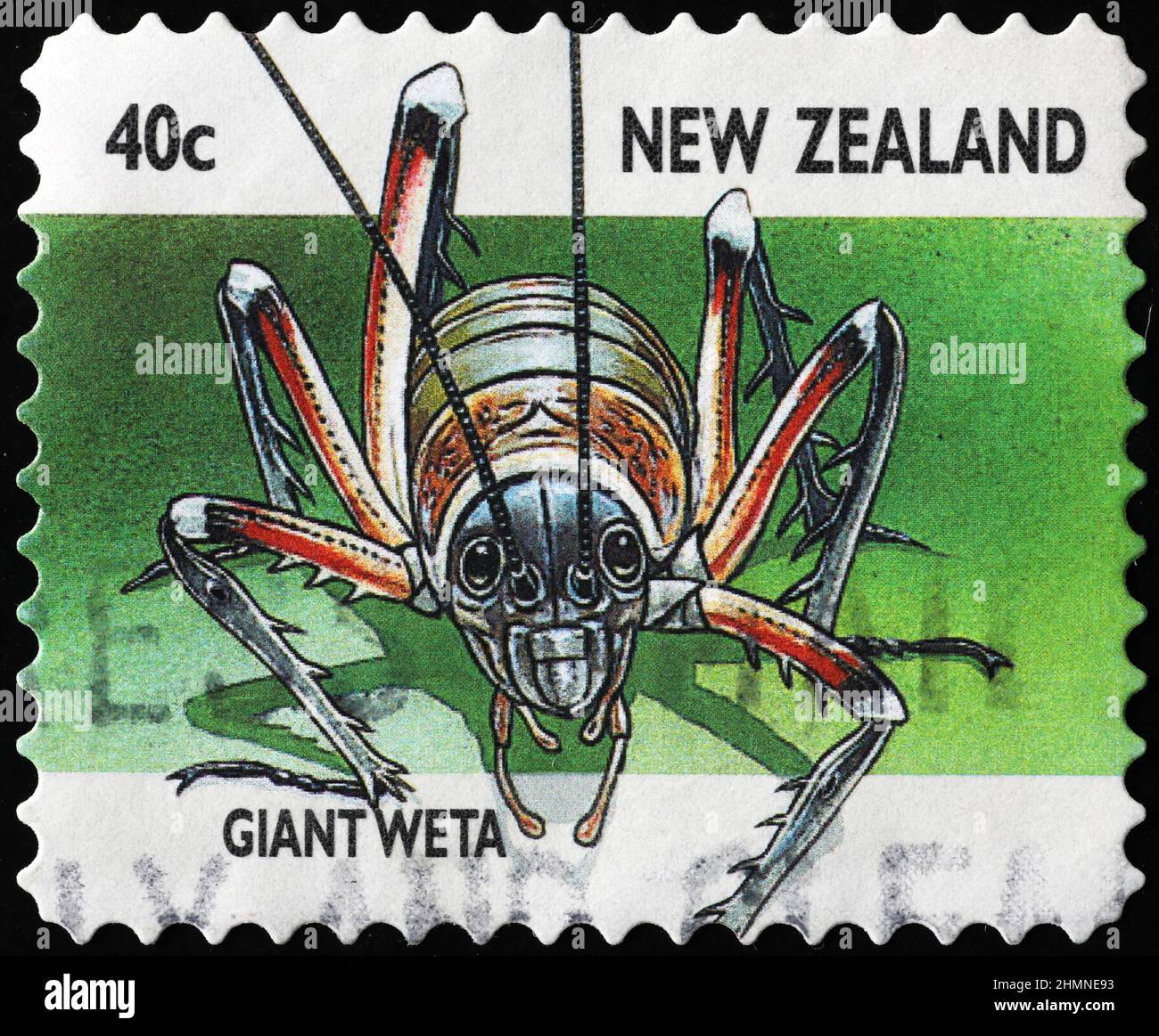 Giant weta, endemic insect of New Zealand on stamp Stock Photo