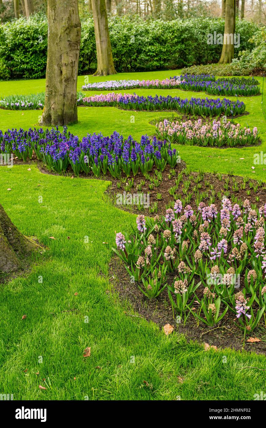 Colorful garden landscape and grassy lawn Stock Photo - Alamy