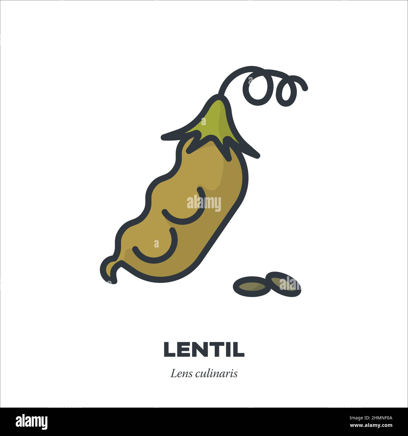 Lentils and pod vegetable icon, outline with color fill style vector illustration Stock Vector