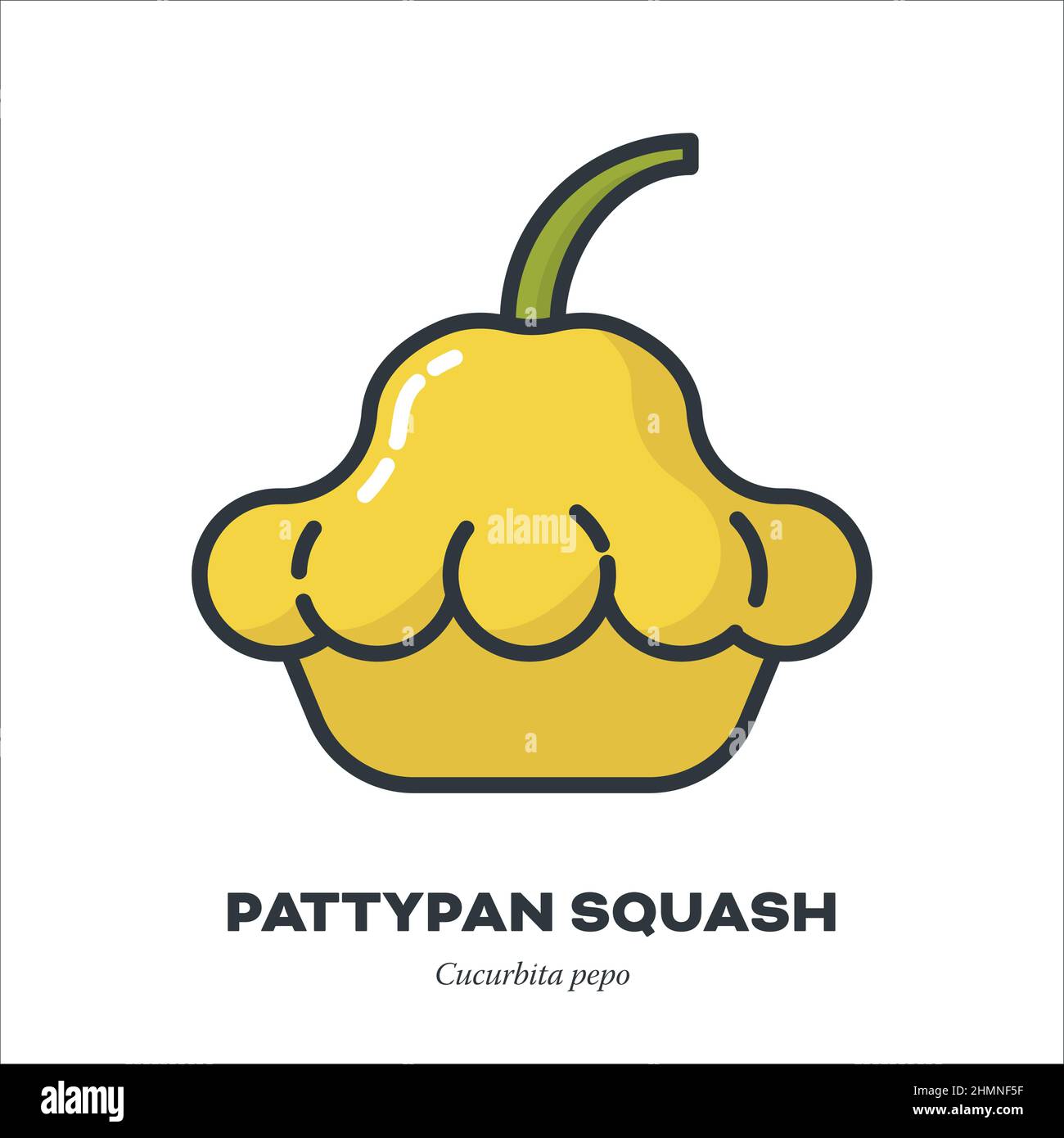 Pattypan squash or Pattison vegetable icon, outline with color fill style vector illustration Stock Vector