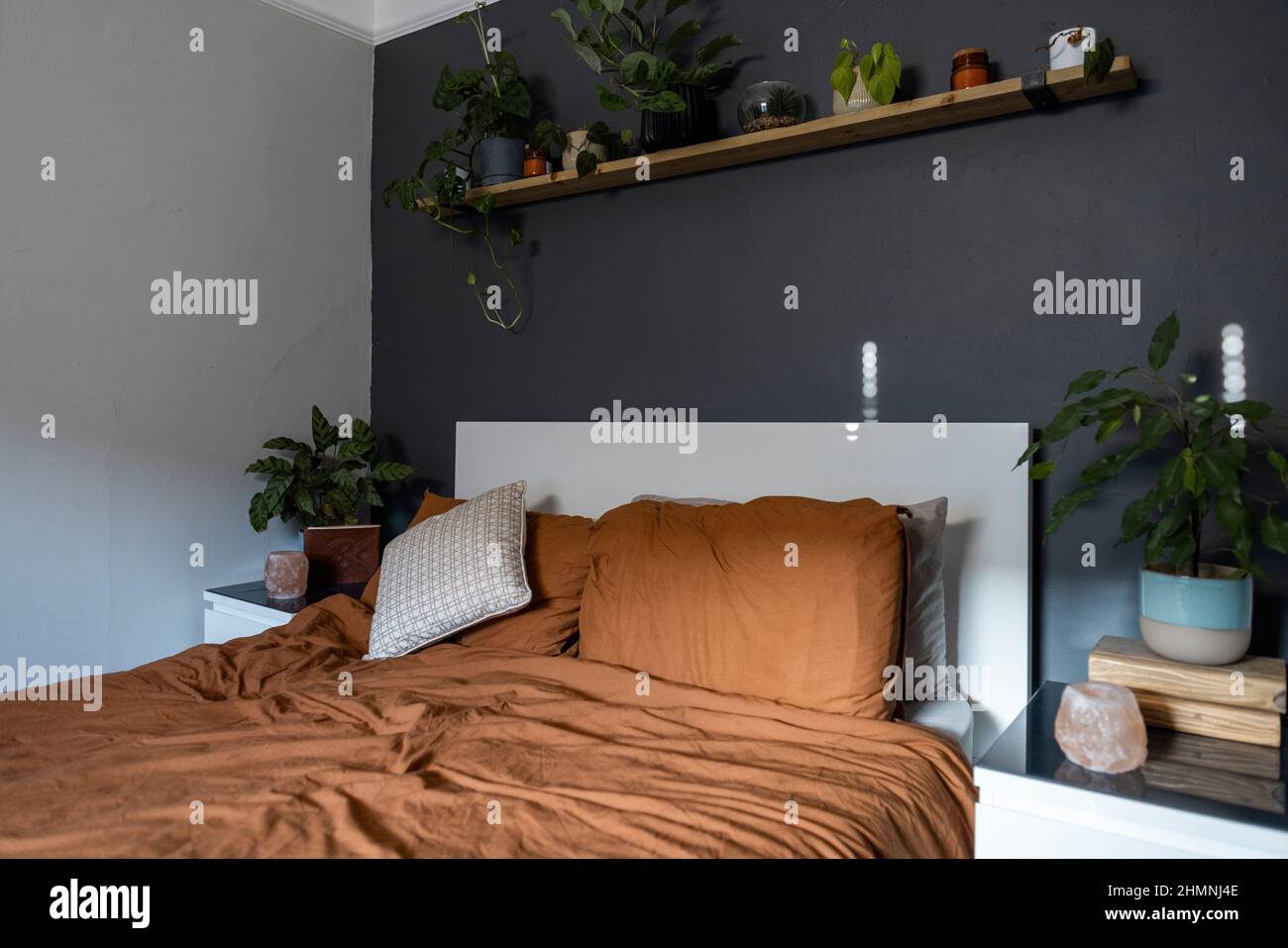 A shot of an empty bed in a bedroom decorated with house plants. Stock Photo