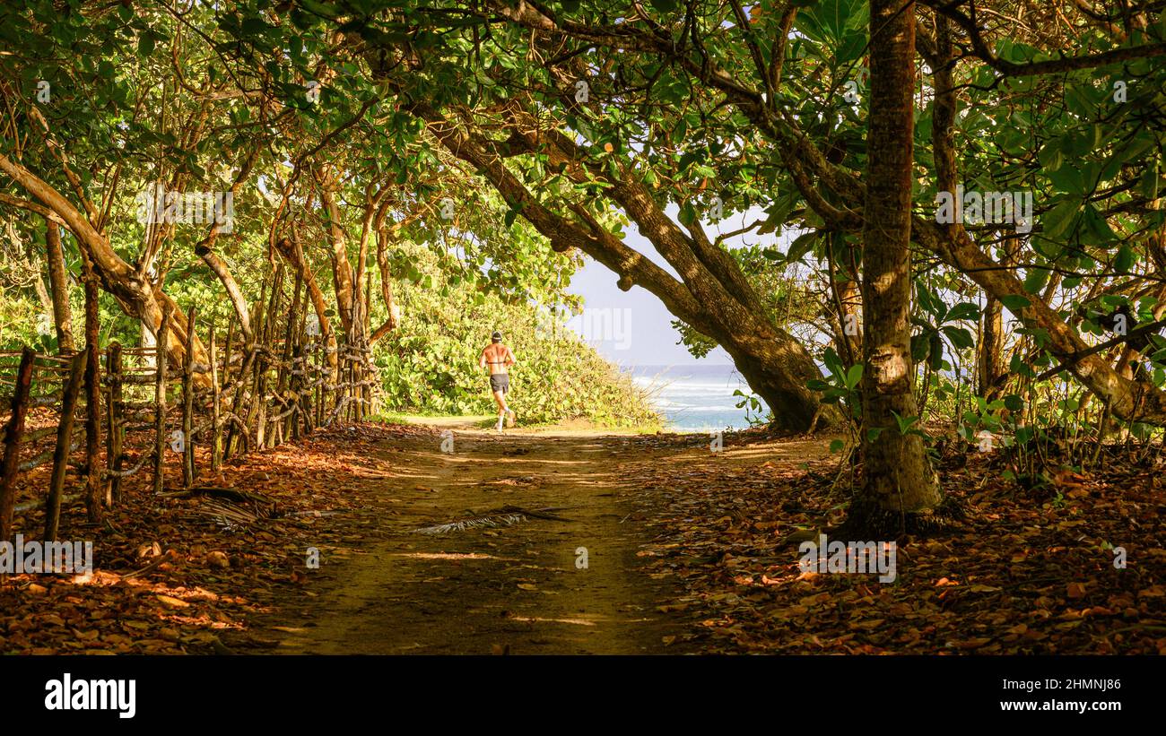 The photo shows a forest path in the forest reclamation zone. Treadmill