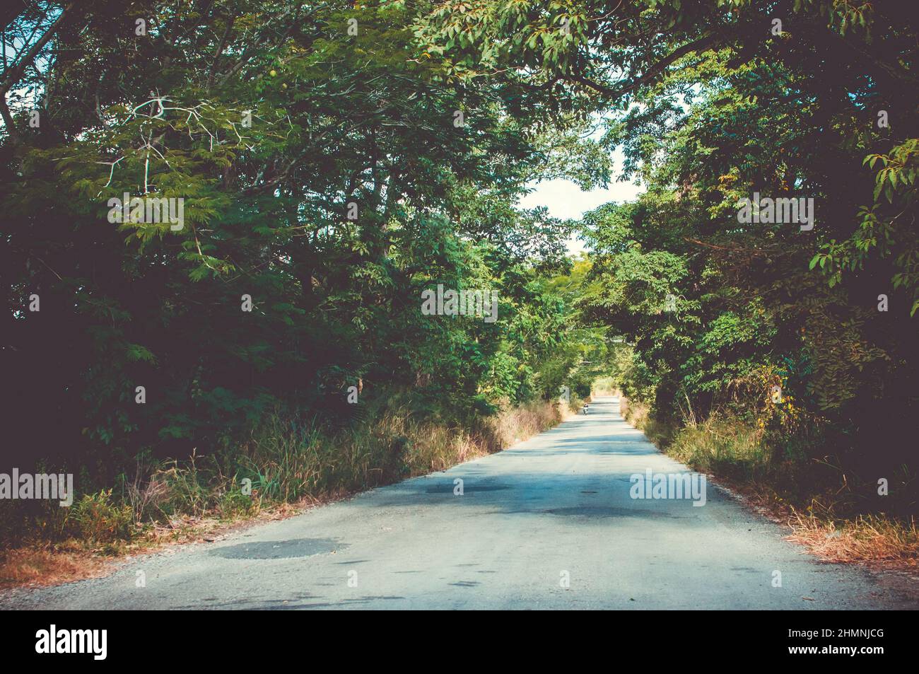 On the mexican roads during a road trip in Mexico, mainly in San Luis Potosi state Stock Photo