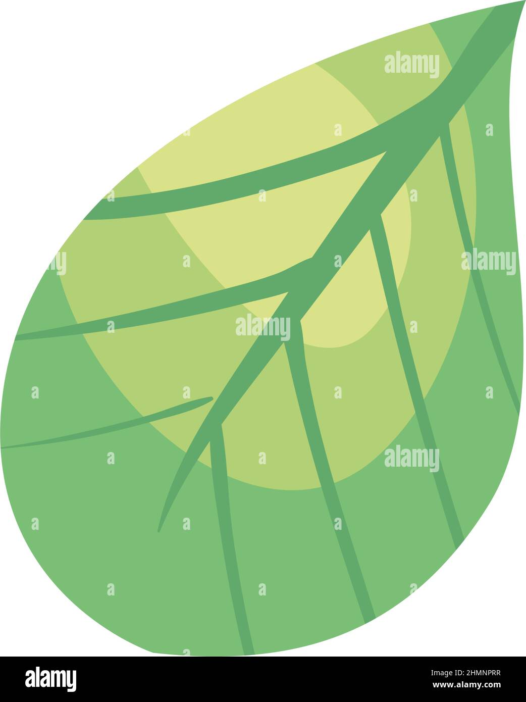 green leaf illustration over white Stock Vector Image & Art - Alamy