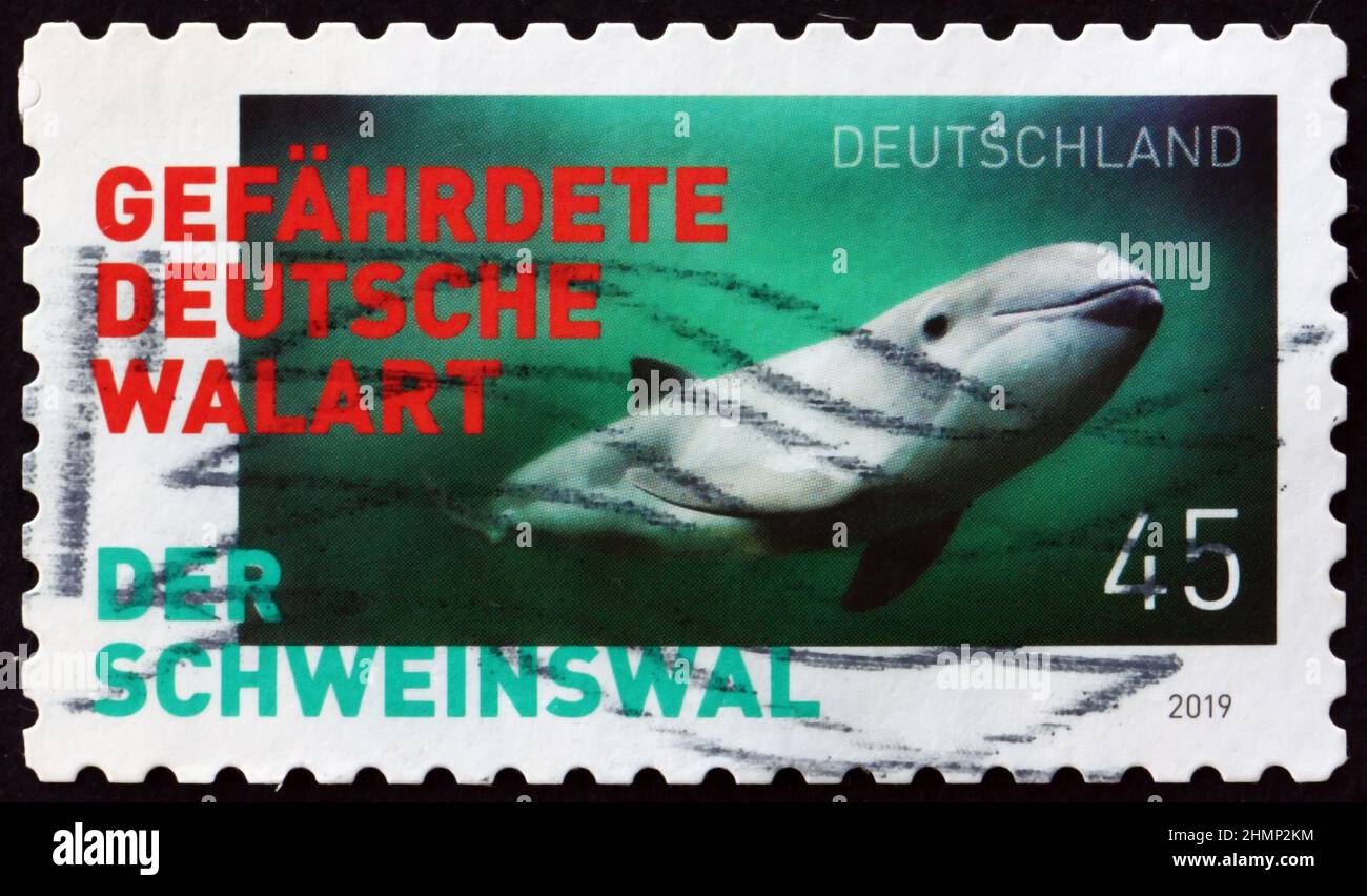 GERMANY - CIRCA 2019: a stamp printed in Germany shows harbour porpoise, phocoena phocoena, is one of the smallest marine mammals, circa 2019 Stock Photo
