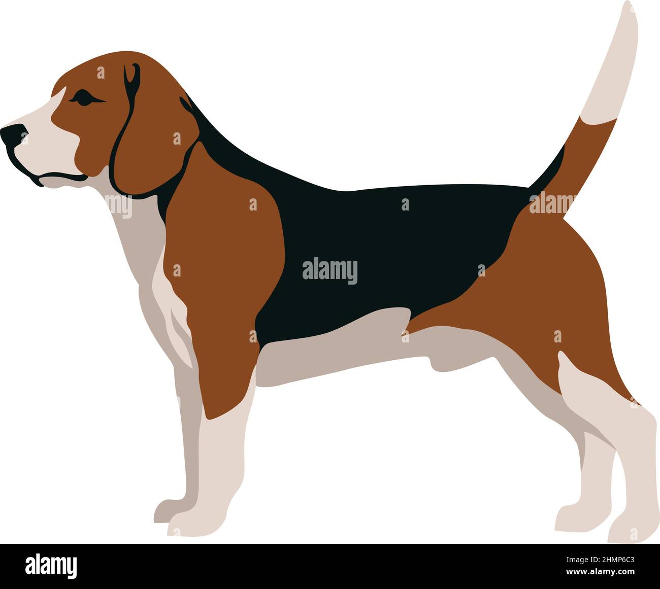 Simple Vector of Beagle Dog Stock Vector