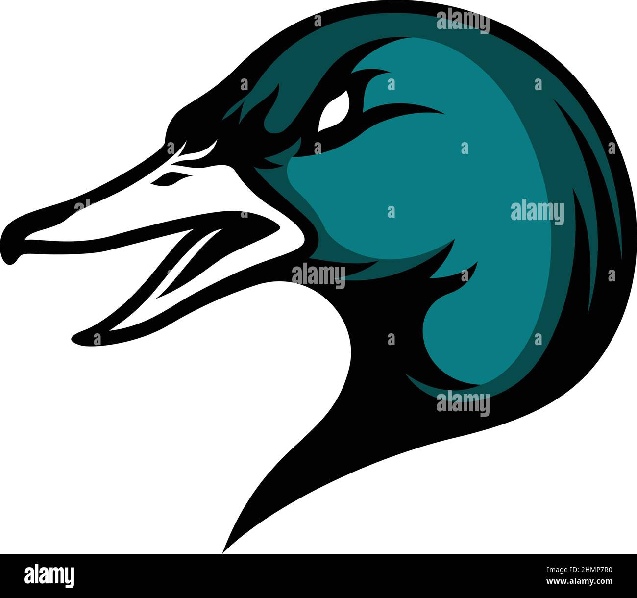 Head of Drake Mallard (Green Head Duck) Sport Style Logo Design Stock Vector