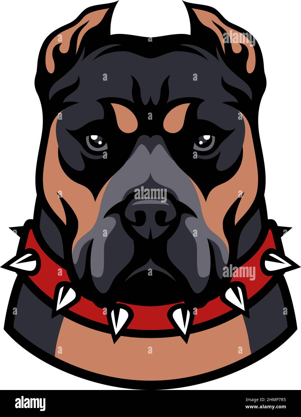 American Bully XL with Spiked Studded Collar Dog Breed Stock Vector