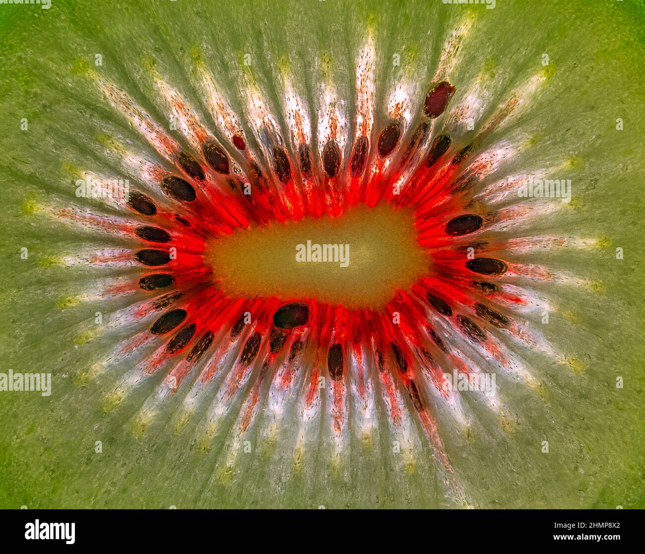 Close up Kiwi Fruit, background of cut kiwi fruit Stock Photo - Alamy