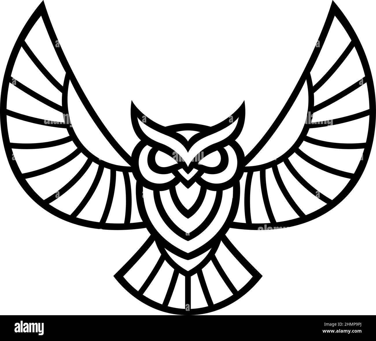 Amazon.com: D.Q.Z Bird-Wings-Costumes for Kids with Bird
