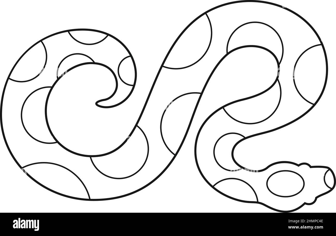 Top View of Ball Python Simple Outline Abstract Design Stock Vector ...