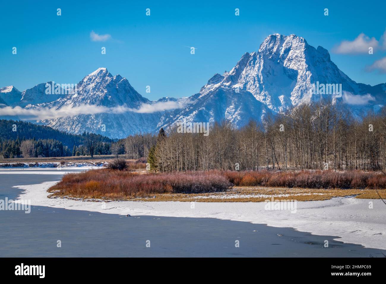 Wildlife Animals in Grand Teton national park, YellowStone national park with mountain and snow background Stock Photo