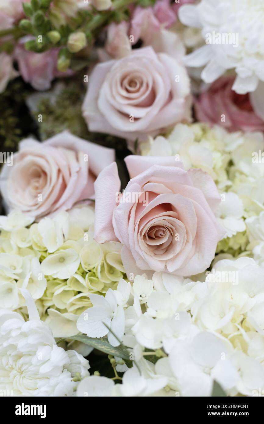 Floral arrangement featuring a tightly packed bunch of pink and cream colored flowers, at the Northwest Flower and Garden show in Seattle, Washington. Stock Photo