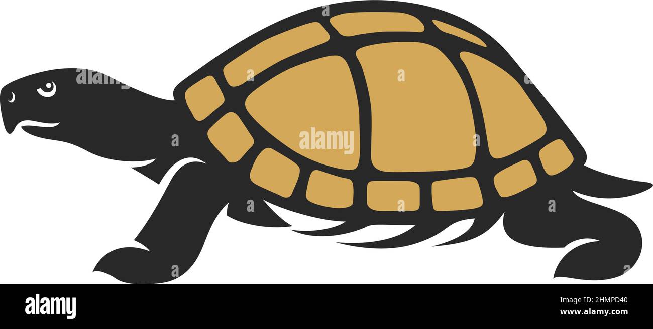 Illustration of Box Turtle Walking Stock Vector Image & Art Alamy