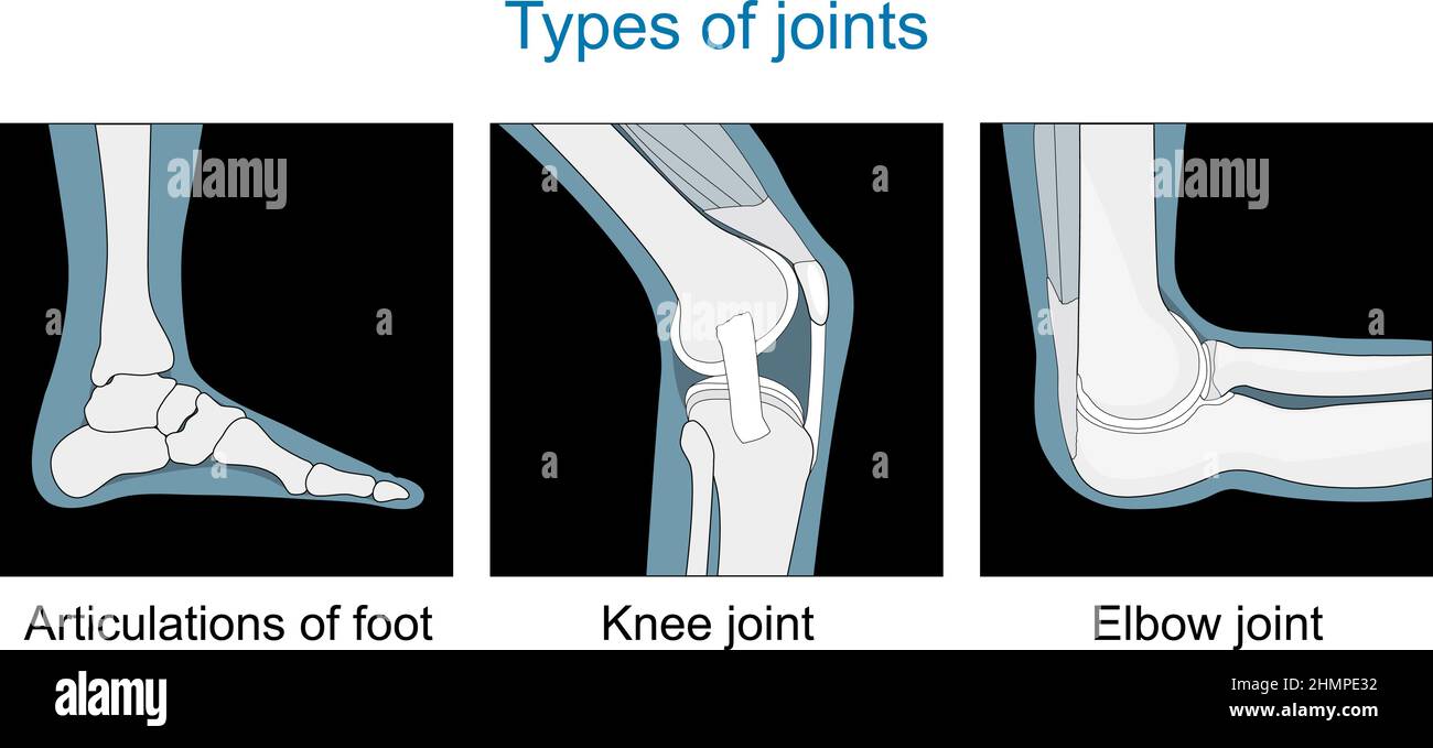 Types of joints. Knee joint, Articulations of foot, Elbow joint. Set icons. black and white. Flat vector illustration. Stock Vector