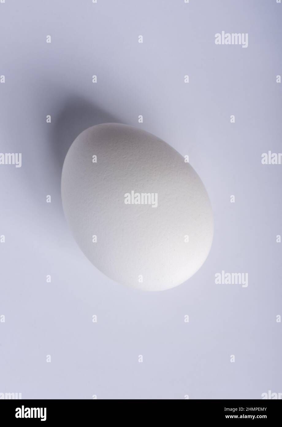 Light and shadow on the egg. Light from the blunt end of the egg. Close