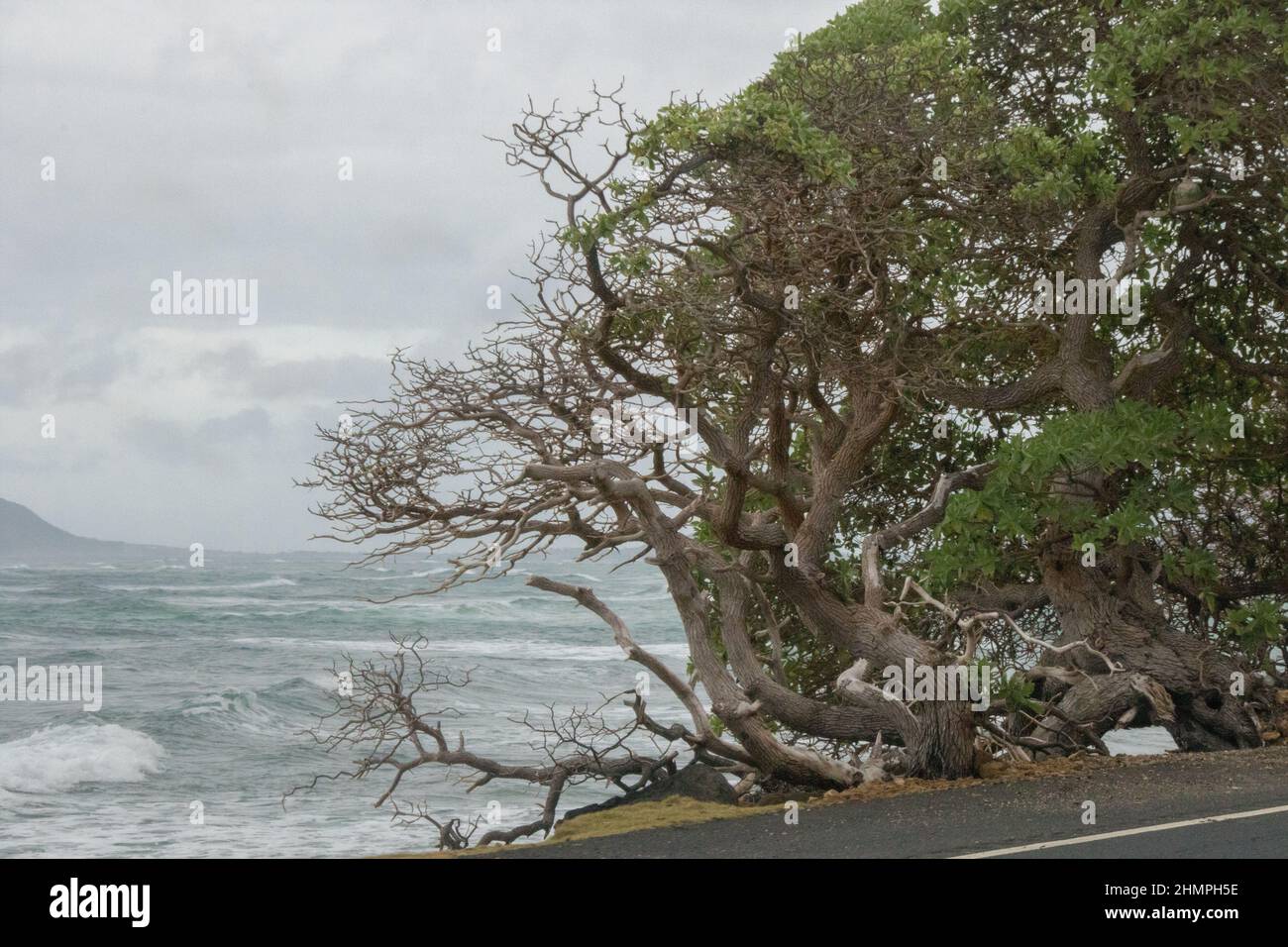 Windward Oahu, Hawaii Stock Photo Alamy
