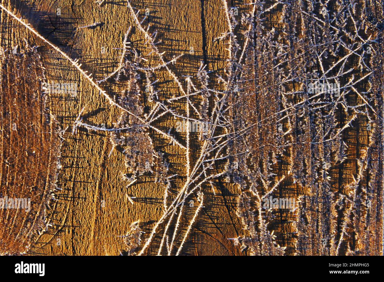 Frost patterns on wooden fence palings. Stock Photo