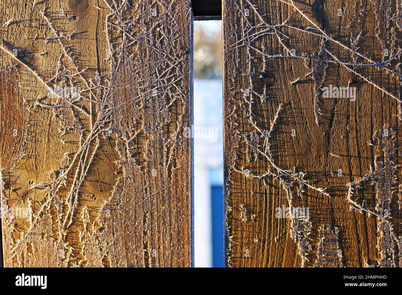 Frost patterns on wooden fence palings. Stock Photo