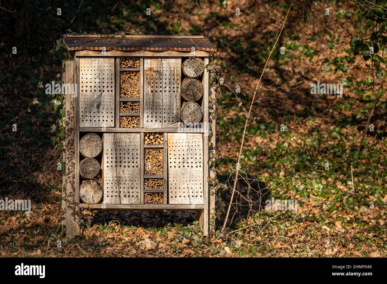 Insect house in the garden. Bug hotel at the park with plants and