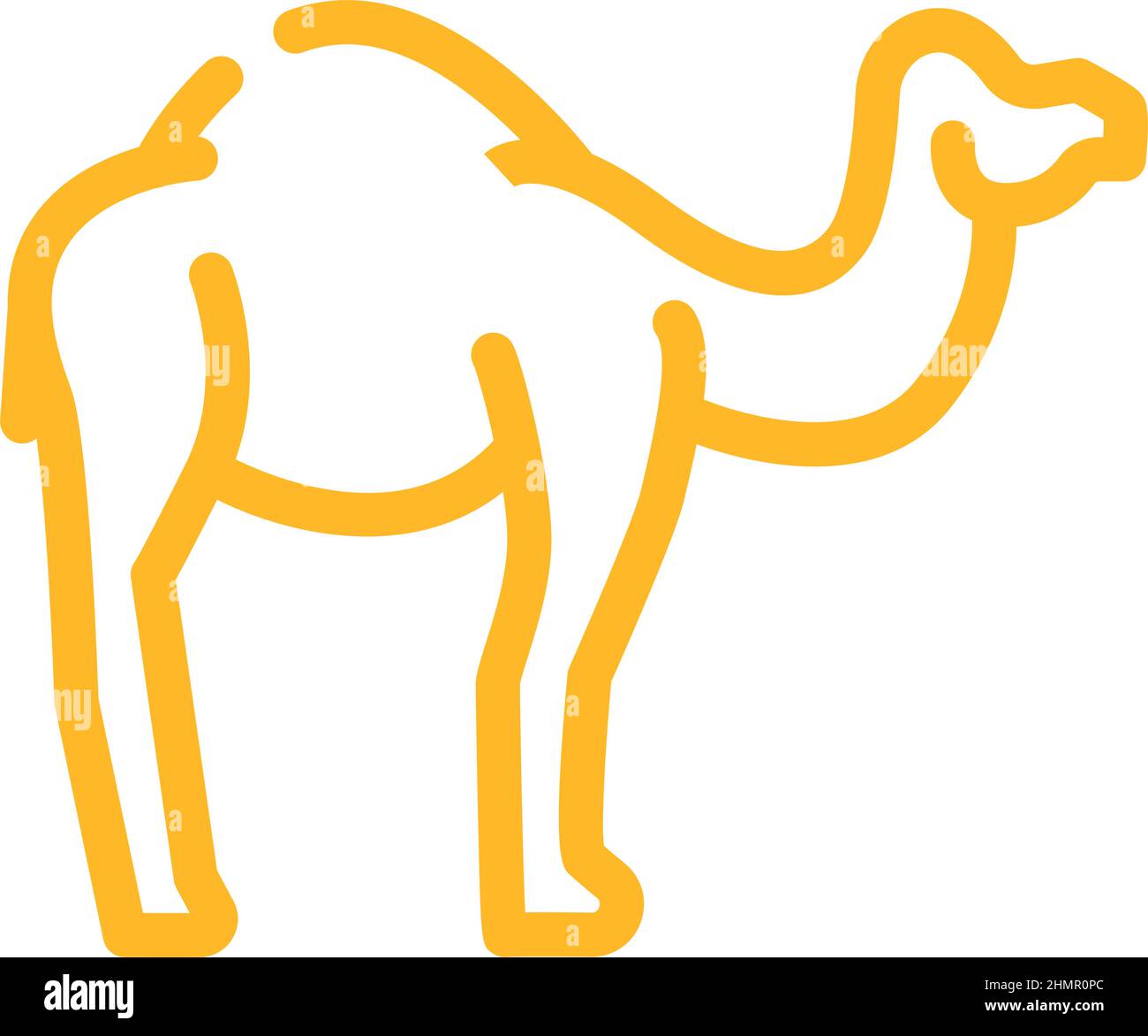camel animal color icon vector illustration Stock Vector Image & Art