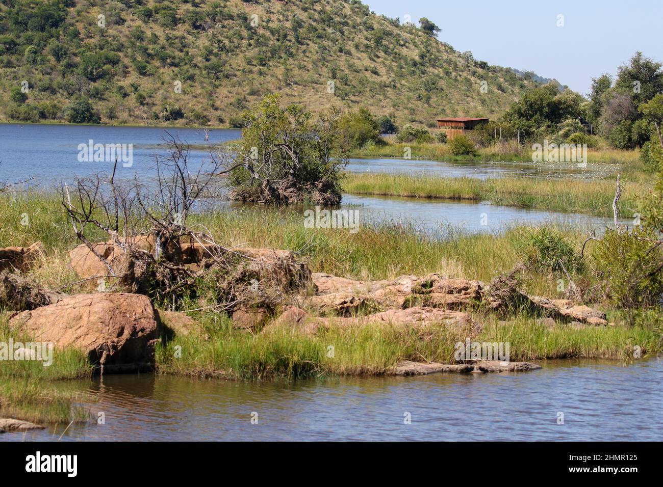 Pilanesberg landscape, South Africa Stock Photo
