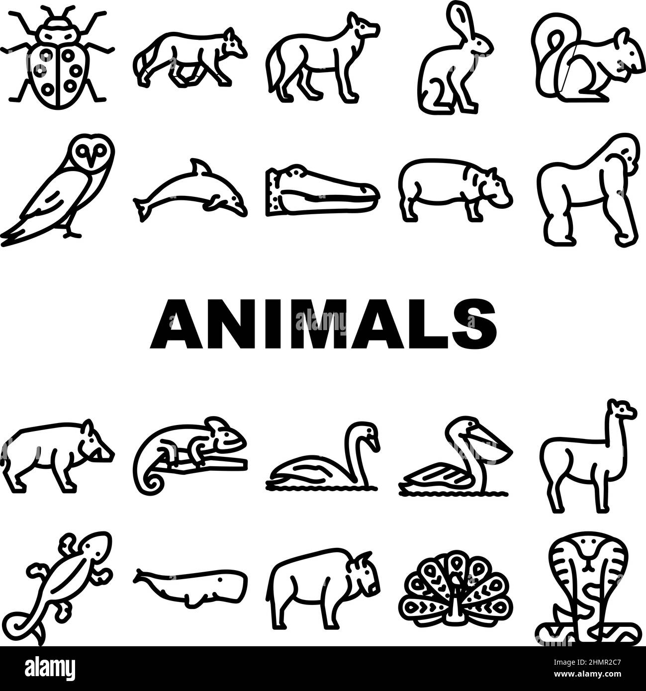 Wild Animals, Birds And Insects Icons Set Vector Stock Vector Image