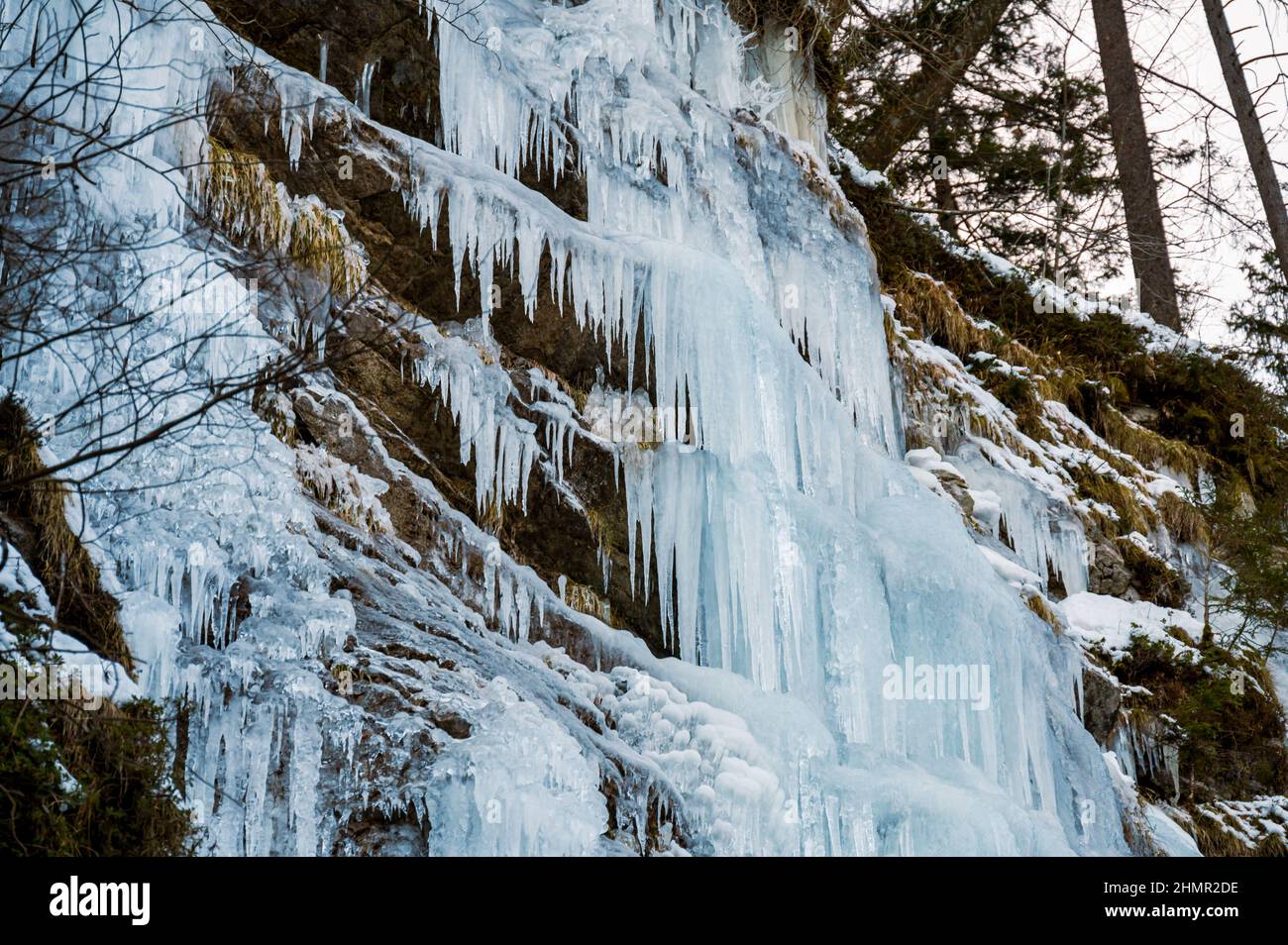 Winter landscape of a frozen waterfall falling in the forest Stock ...