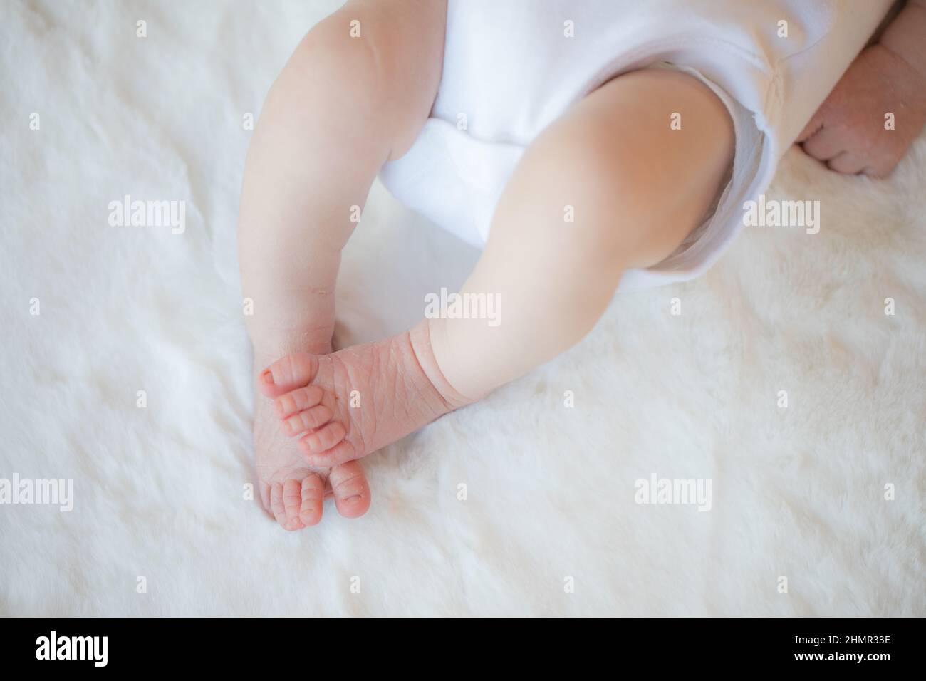 A close up of a newborn babies feet Stock Photo Alamy
