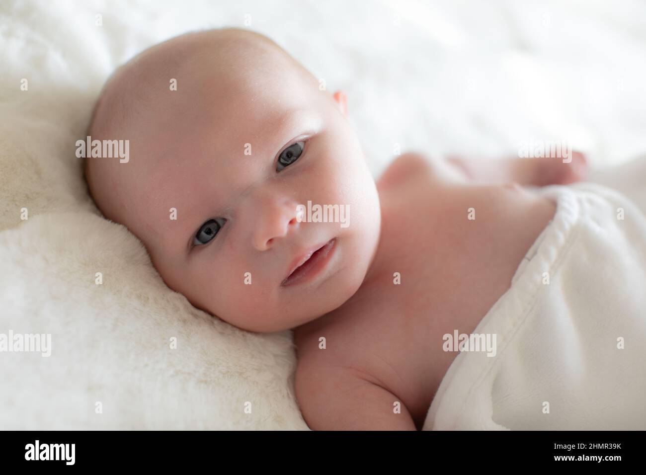A portrait of a newborn baby awake and looking at the camera. Stock Photo