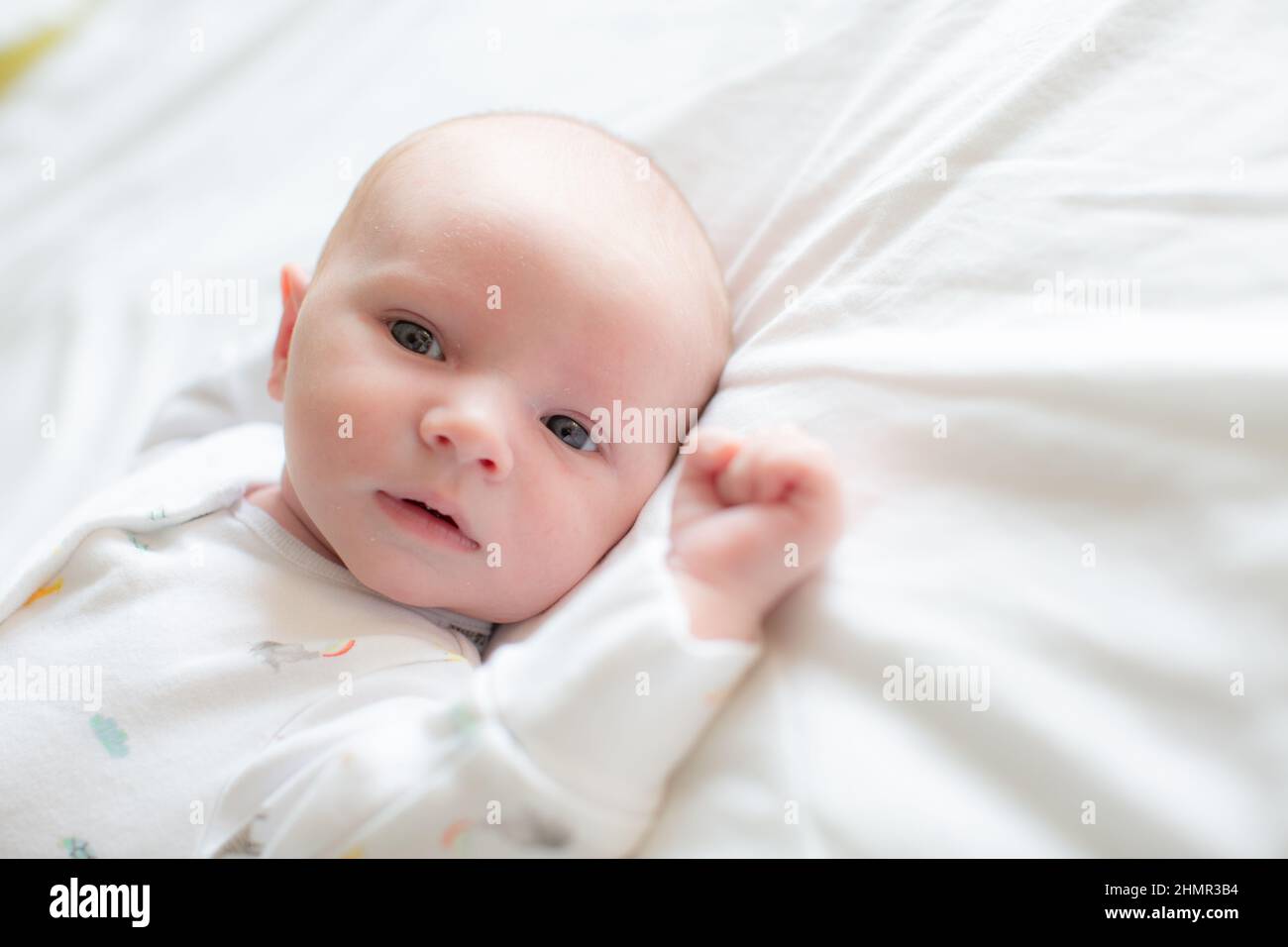 A portrait of a baby in a white babygro on a white background. Stock Photo
