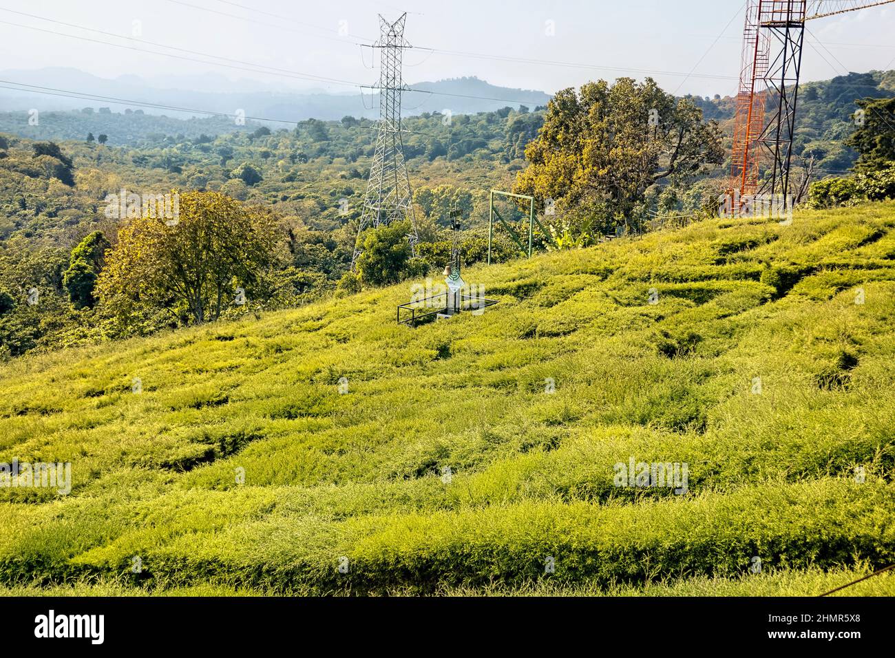 Labyrinth along the Ruta de Flores, Apaneca, El Salvador Stock Photo