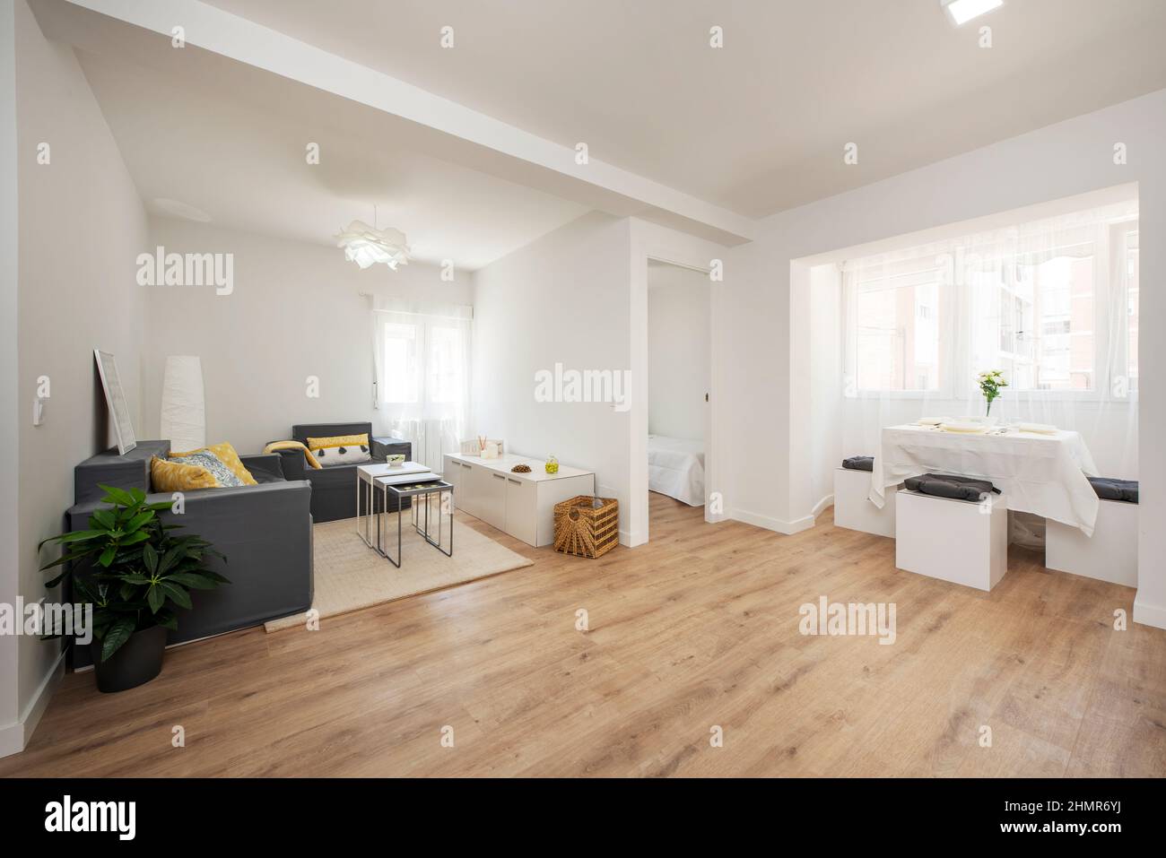 Large open space in an apartment furnished with chestnut wood flooring and decorative artificial plants Stock Photo