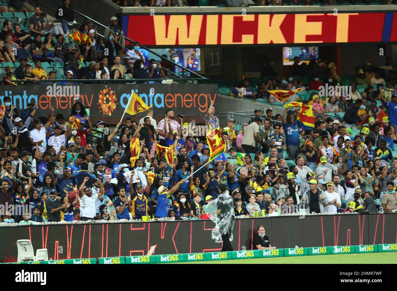 11th February 2022 ; Sydney Cricket Ground, Sydney, NSW, Australia; T20 International cricket, Australia versus Sri Lanka; Sri Lanka fans celebrate an Australian wicket being taken Stock Photo