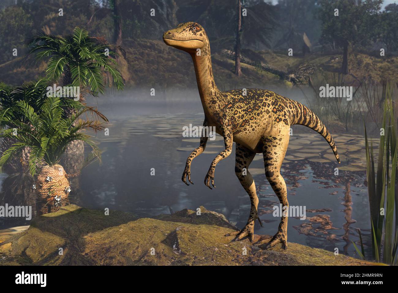 Procompsognathus dinosaur, illustration Stock Photo