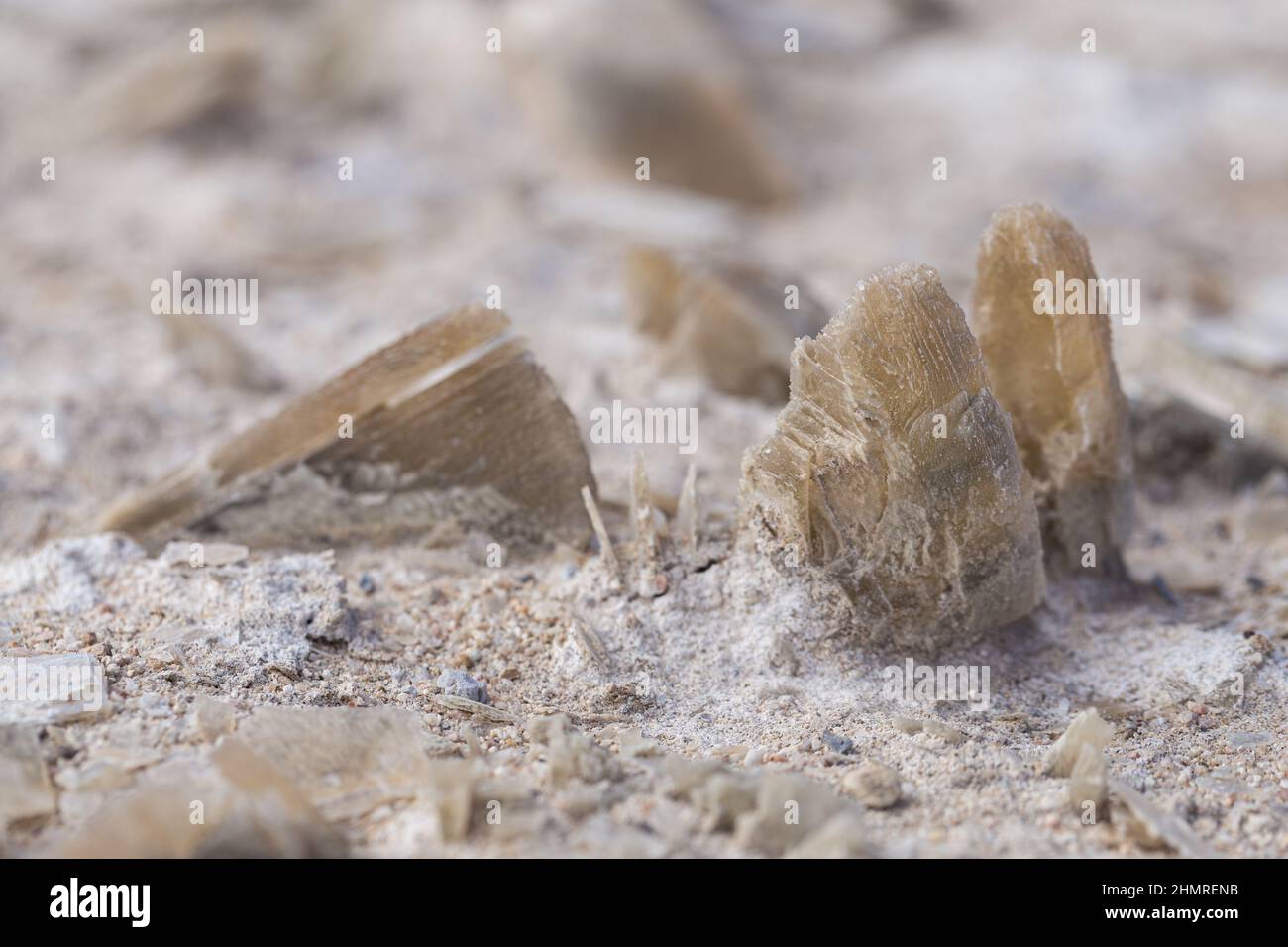 Lake lucero white sands national park hires stock photography and images Alamy