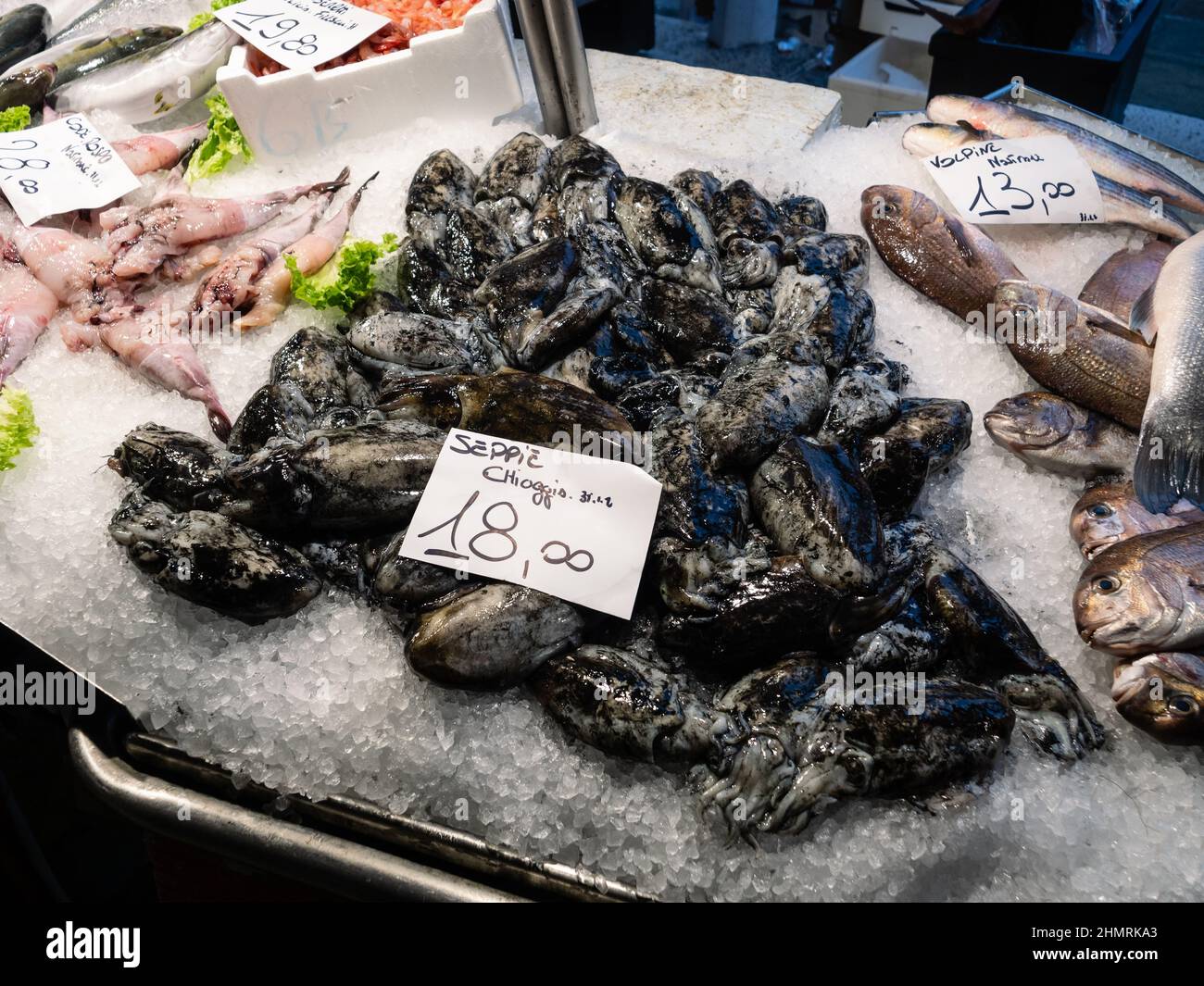 Seppie or Cuttlefish with their Ink from Chioggia on Ice for Sale at the Rialto Fish Market in Venice Stock Photo