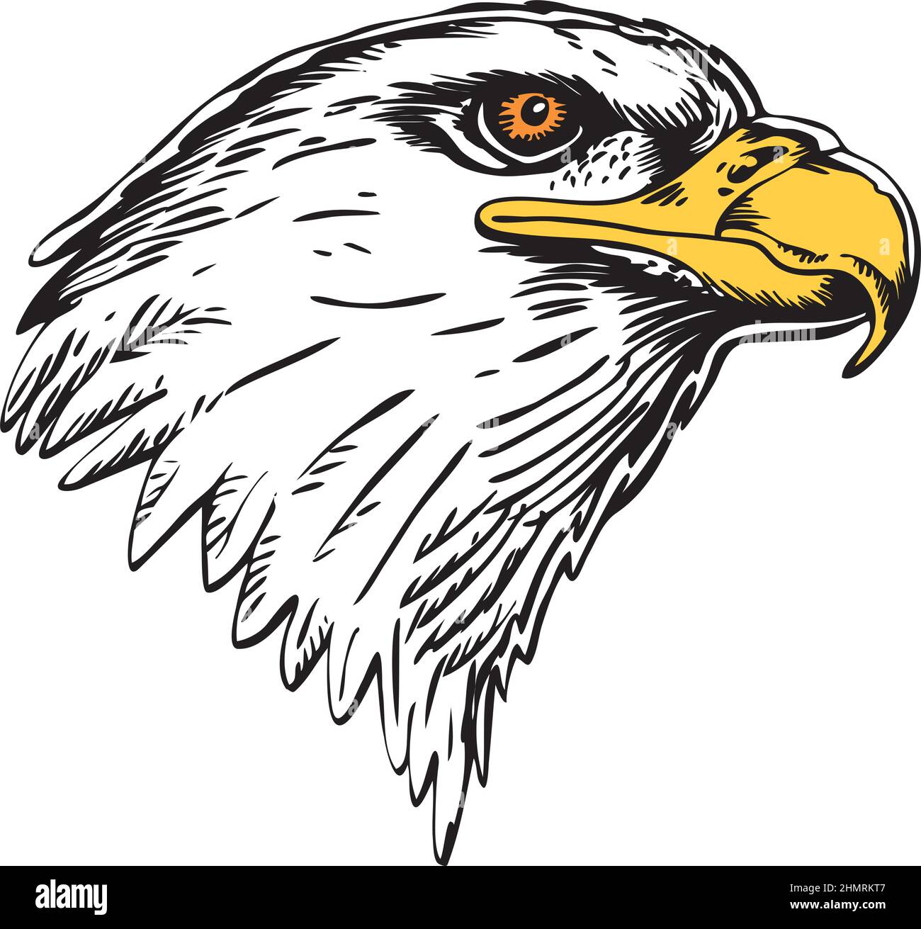 Eagle Mascot Head Profile Vector Illustration Stock Vector Image & Art ...