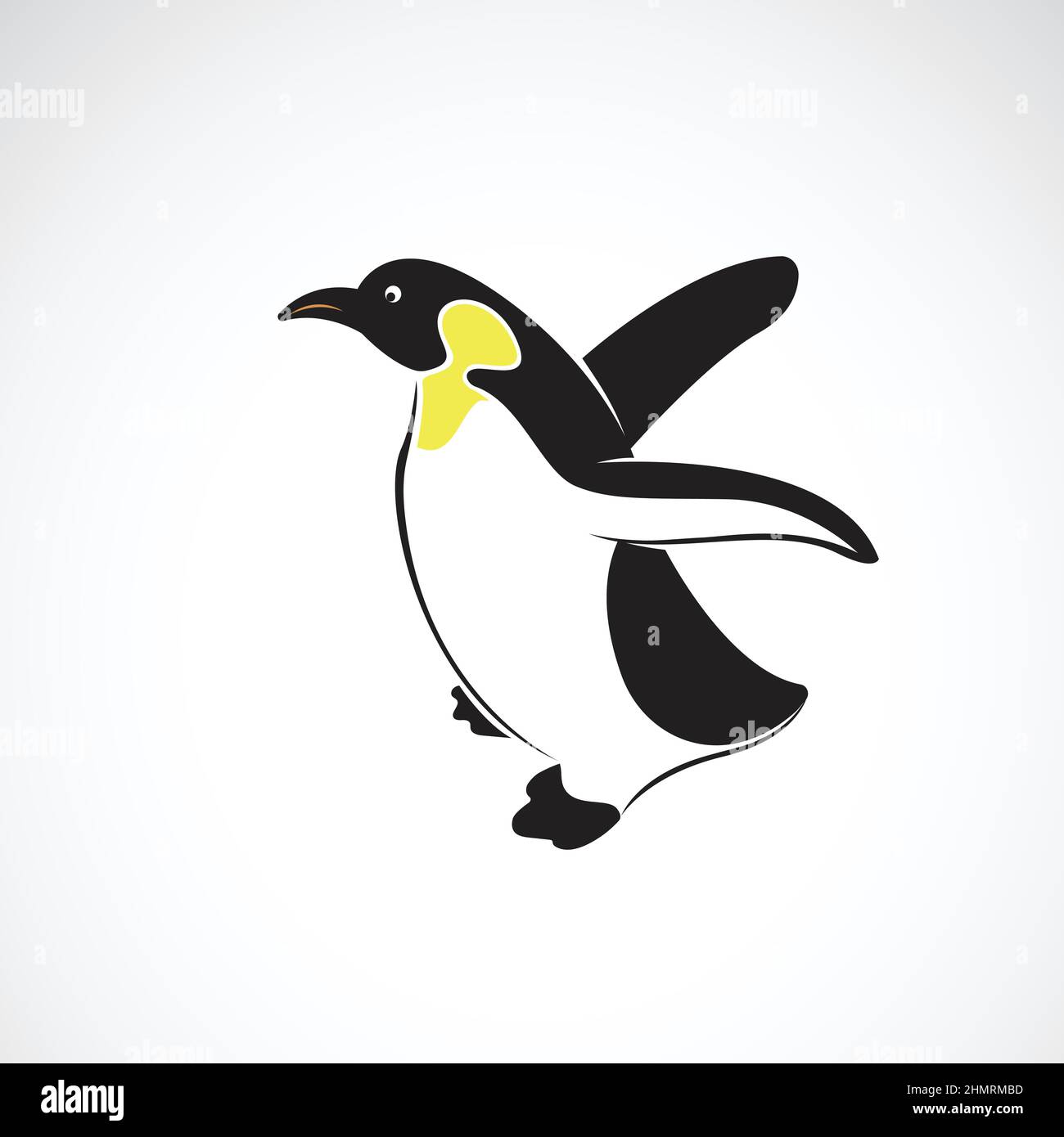 A black baby penguin with a white tummy and an orange beak and feet, cartoon,  vector, color drawing or illustration Stock Vector Image & Art - Alamy