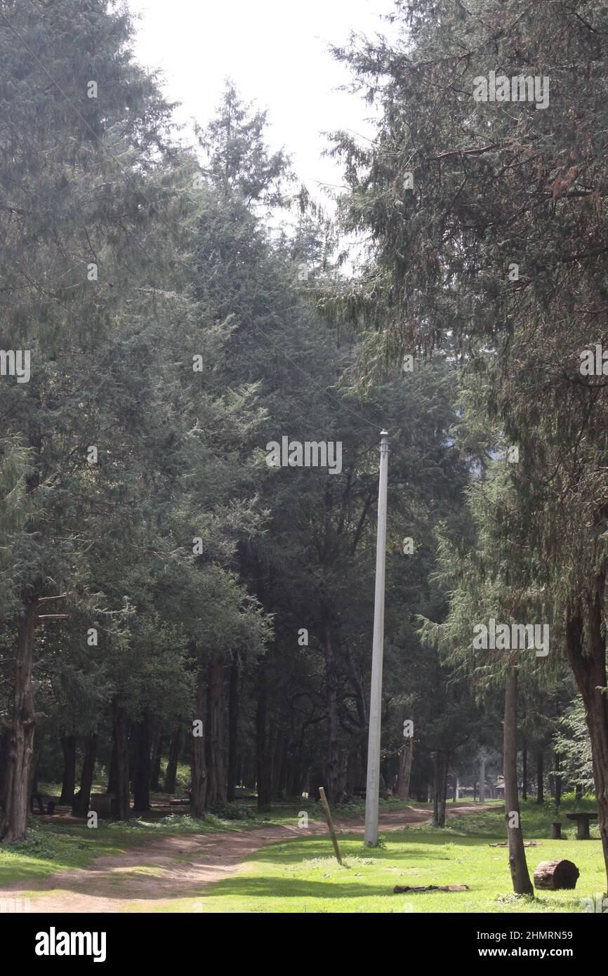 mexico 66 hiking green