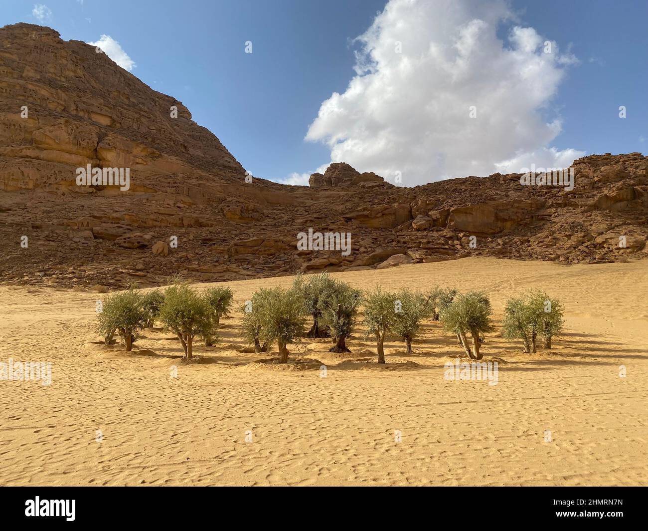 Desert x alula hi-res stock photography and images - Alamy