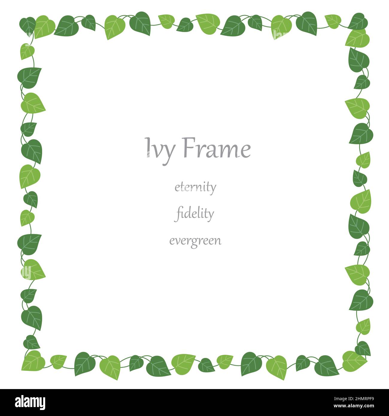 Square ivy frame isolated on a white background. Vector illustration. Stock Vector