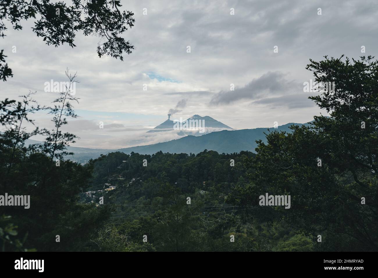 Beautiful landscape view with dense vegetation and background of high